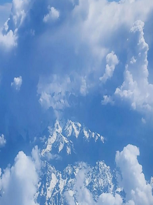 点亮工场专业SEO服务如何助力企业提升搜索排名？